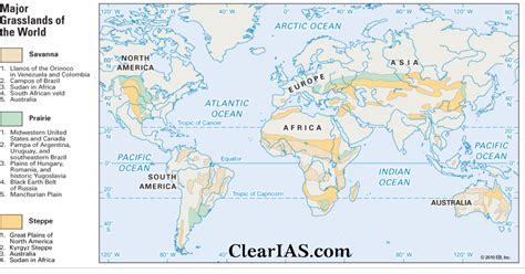 Grasslands: Types, Features, and Significance - ClearIAS