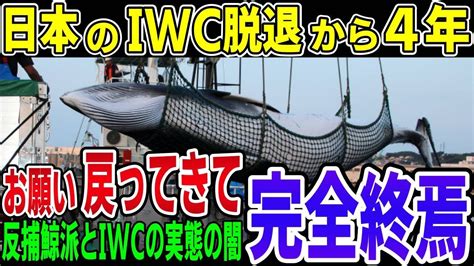 【衝撃】日本のiwc脱退から4年好き放題日本を叩いてきた反捕鯨派とiwcの実態の闇が深かった！【海外の反応】 Youtube