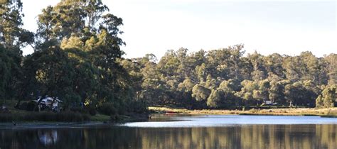 Camping Dog Friendly Nsw State Forest Snowy Mountains Paddys