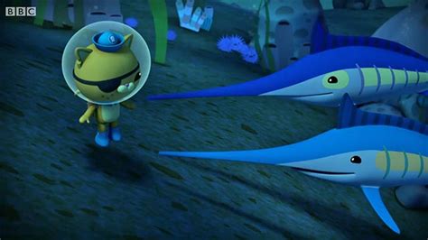 Octonauts S02e14 The Swashbuckling Swordfish Itoons آموزش زبان و