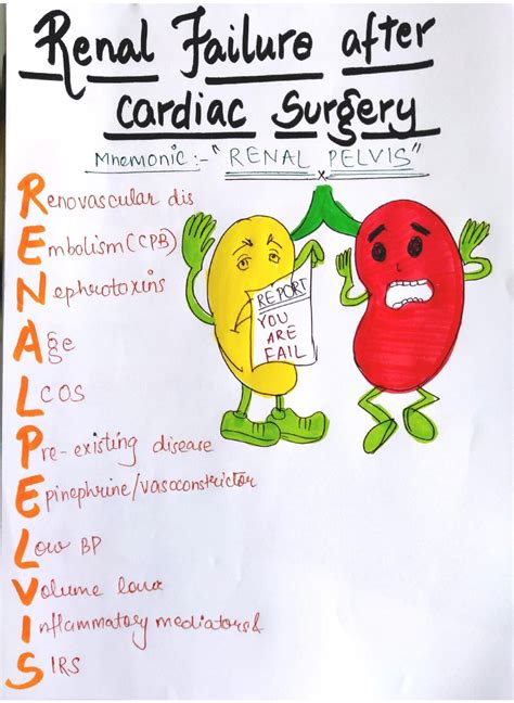 Renal Failure After Cardiac Surgery - Mnemonic RENAL PELVIS
