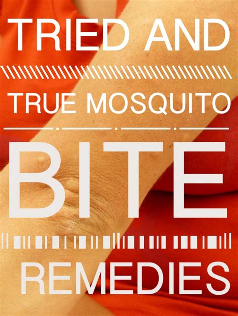 Tried & True Home Remedies for Mosquito Bites