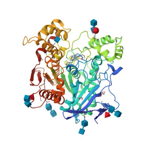 Rcsb Pdb 5dyw Crystal Structure Of Human Butyrylcholinesterase In Complex With N 1