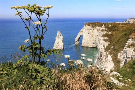 White Chalk Cliff Near Etretat Normandy France Stock Image Image Of