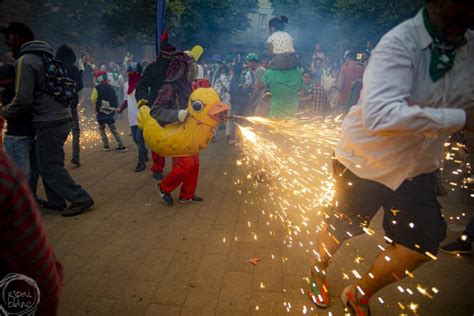 Pollets Agrupació del Bestiari Festiu i Popular de Catalunya