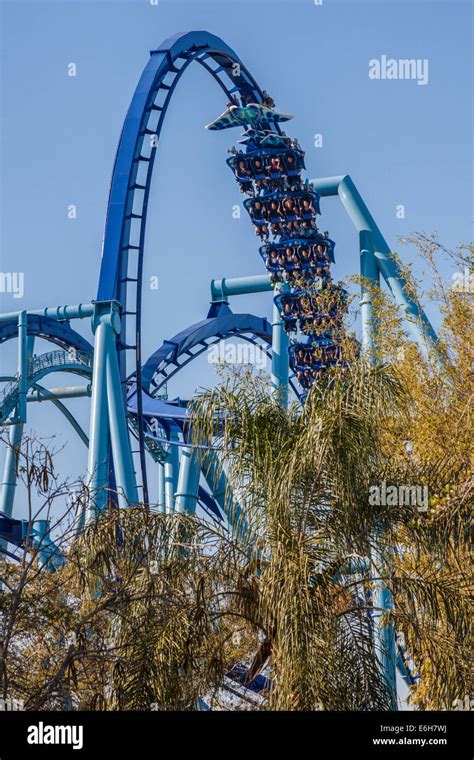 Manta roller coaster in a loop at Sea World in Orlando, Florida Stock ...