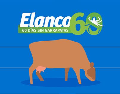 Elanco Projects :: Photos, videos, logos, illustrations and branding ...