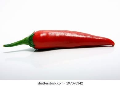 Acute Hot Nutritious Tasty Chilli Pepper Stock Vector Royalty Free 1244933818 Shutterstock