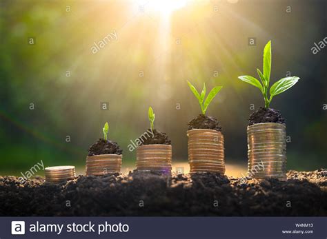 Money Growth Saving Money Upper Tree Coins To Shown Concept Of Growing