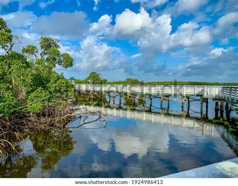 Anne Kolb Nature Center Images Stock Photos Vectors Shutterstock