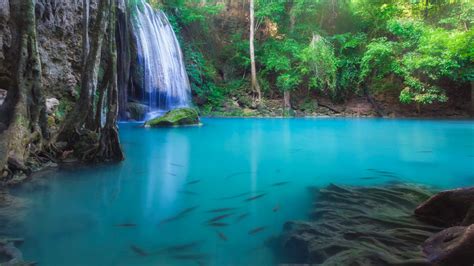 Wallpaper Alam Pemandangan Air Terjun Ikan Air Jernih Paparan