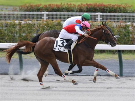 【2歳未勝利中京2rレース後コメント】ハビレ菅原明良騎手ら 競馬ニュース Netkeiba