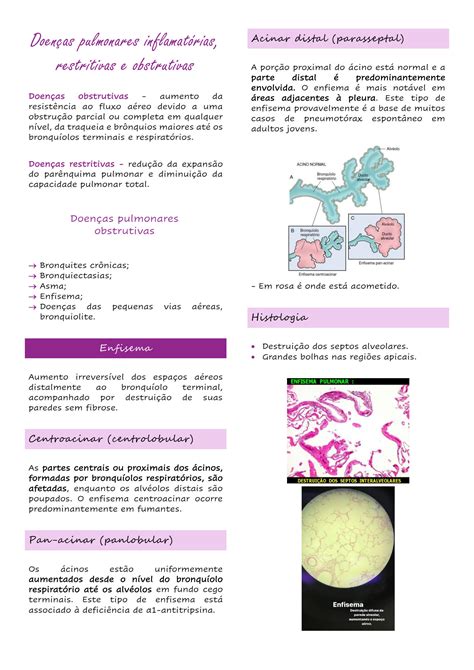 Solution Doen As Pulmonares Inflamat Rias Imagens Histol Gicas