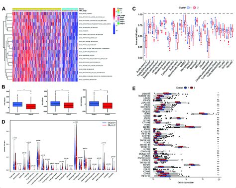 Tme Infiltration And Immune Oncology Targets In Cluster 12 Subtypes Download Scientific