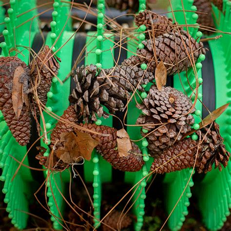 36 Pull Behind Pine And Magnolia Cone Picker Bag A Nut