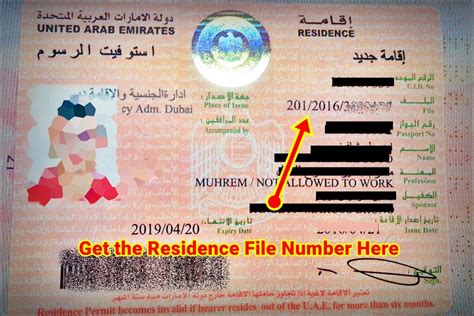 How To Check Uae Visa Status Online With Passport Number How To Check Visa Status Online Dubai