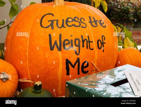 Scrivendo Sulla Zucca Immagini E Fotografie Stock Ad Alta Risoluzione