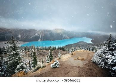 Peyto Lake Winter Snow Banff National Stock Photo 682656046 | Shutterstock