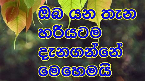 මේ ටික ඇහුවොත් යන තැන හරියටම දැනගන්න පුළුවන් Youtube