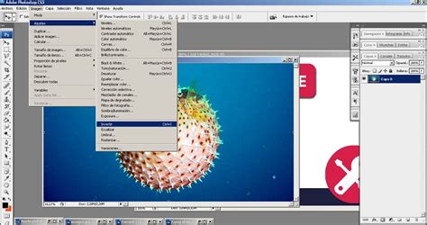 Invertir Colores Con Photoshop Gu A Paso A Paso