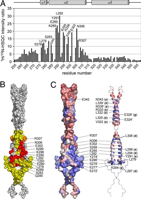 Structure Of The Cyclin T Binding Domain Of Hexim1 And Molecular Basis