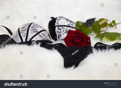 Sexy Black White Lingerie Red Rose Stock Photo 1013917627 Shutterstock