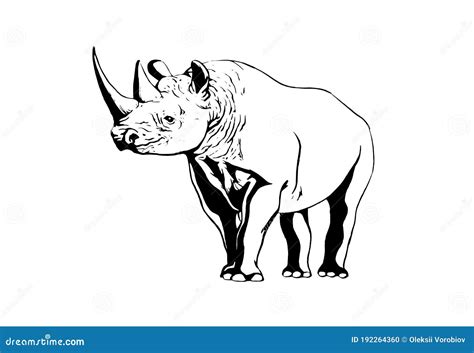 Graphical Rhino Isolated On White,vector Illustration,lined Art ...