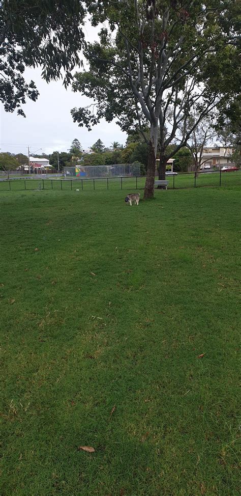 Bradbury Park Dog Off-Leash Area - Kedron QLD 4031, Australia