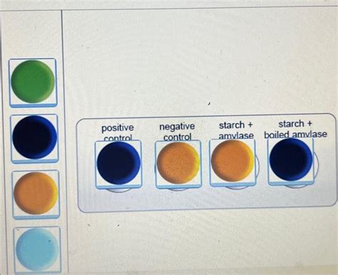 Solved Predict What The IKI Lugol S Test Results Would Chegg