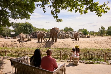 Plattegrond Ontdek Het Safaripark Beekse Bergen