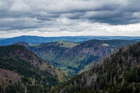 Feldbergsteig Tageswanderung Der höchste Gipfel im Schwarzwald