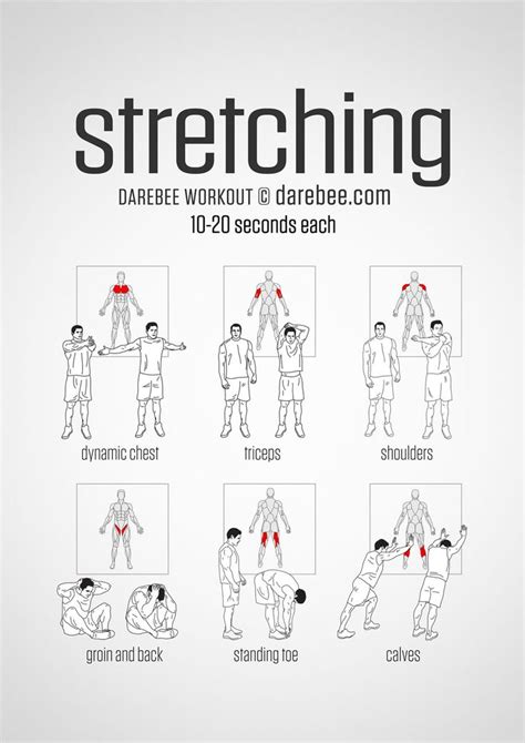 Pre Workout Minute Stretching Routine Visual Guide Print Use