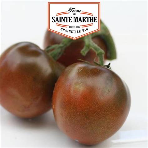 La Ferme Sainte Marthe Graines Tomate Noire Russe