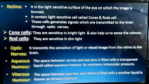 SOLUTION: Function of retina and other parts of eyes - Studypool