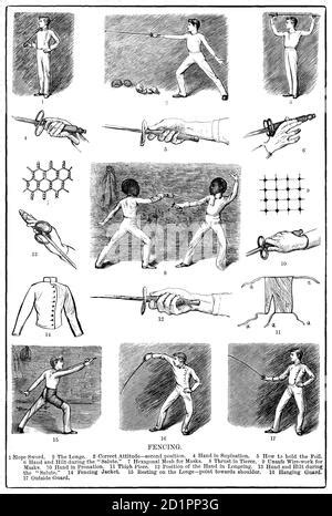 Une Carte De La Fin Du Xixe Si Cle Illustrant Infusoria Un Terme