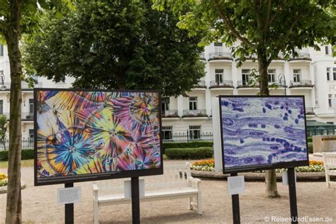 Festival La Gacilly In Baden Bei Wien Eine Stadt Als Foto Ausstellung