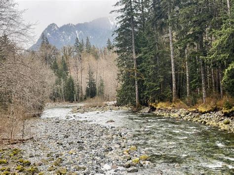 Premium Photo | The snoqualmie river in washington state