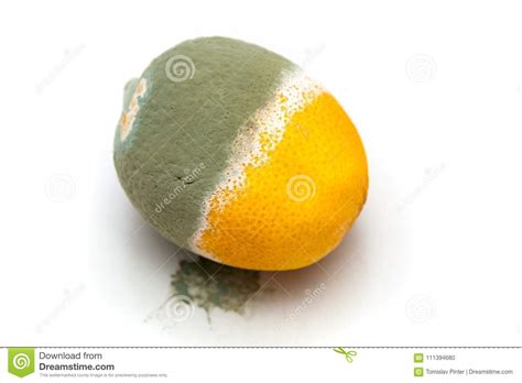 Rotten Lemon Green Background Stock Photography