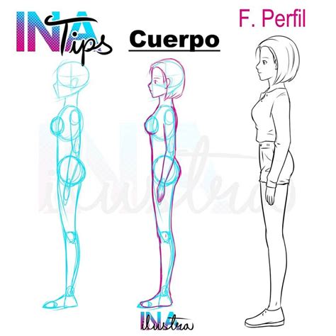 Como Dibujar Un Cuerpo Femenino