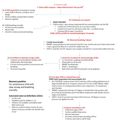 15 Paediatric BLS Flashcards Quizlet