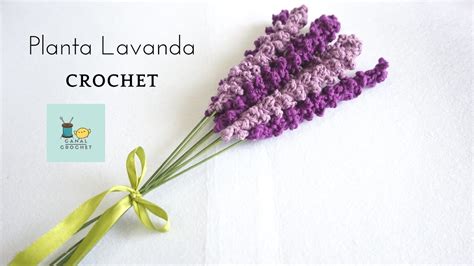 Details Planta Flor De Lavanda Abzlocal Mx