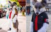 The Furred Reich The Truth About Nazi Furries And The Alt Right