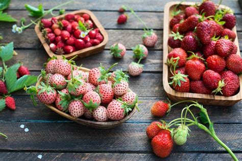 Novelty Strawberries for the Home Garden