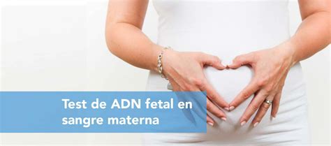 Test De Adn Fetal En Sangre Materna