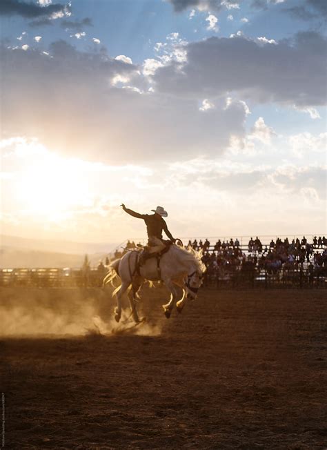 "Cowboy Riding Wild Horse At Rodeo" by Stocksy Contributor "Matthew ...