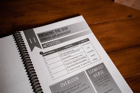 Behold Your God: Seeking Him Early Level 2 Student Workbook – Media Gratiae