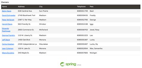 Dynamic Entity Graphs In Spring Data JPA