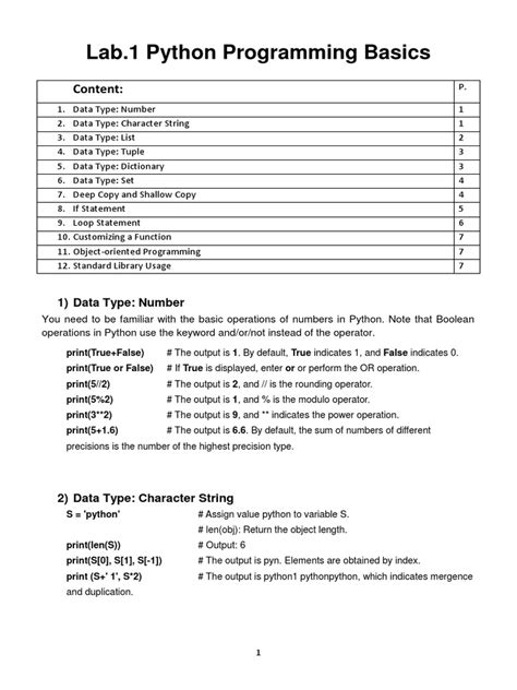 Python Programming Basics Pdf Control Flow Parameter Computer Programming