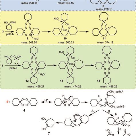 Proposition Of The BV Oxidation Mechanism Of Cyclohexanone With 60 Wt