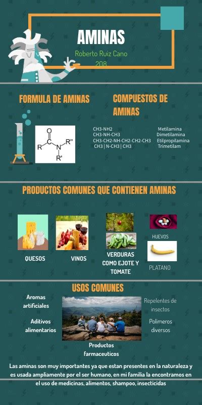 Infografia Aminas